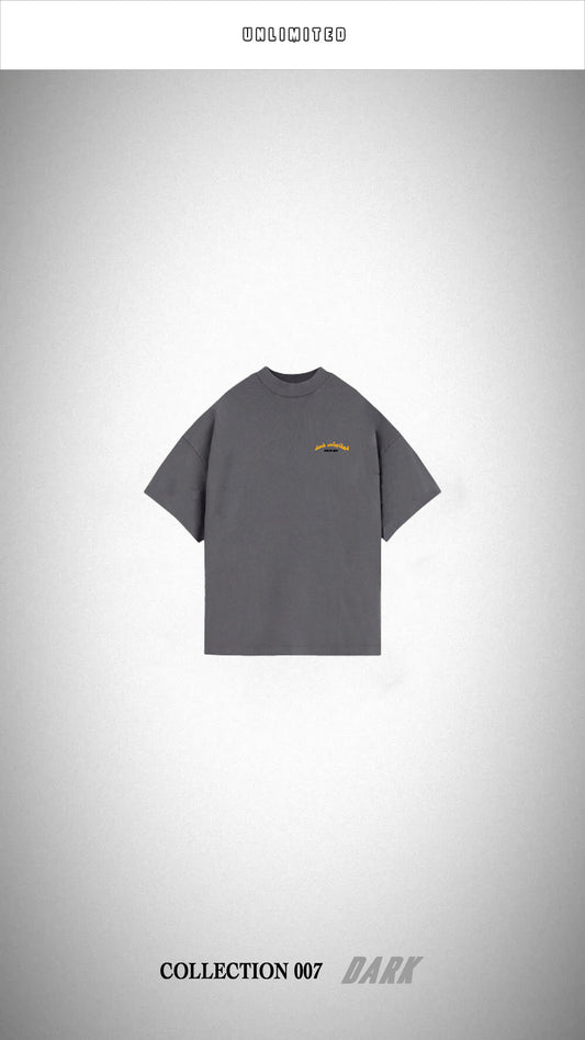 CAMISETA GRIS Royal Night